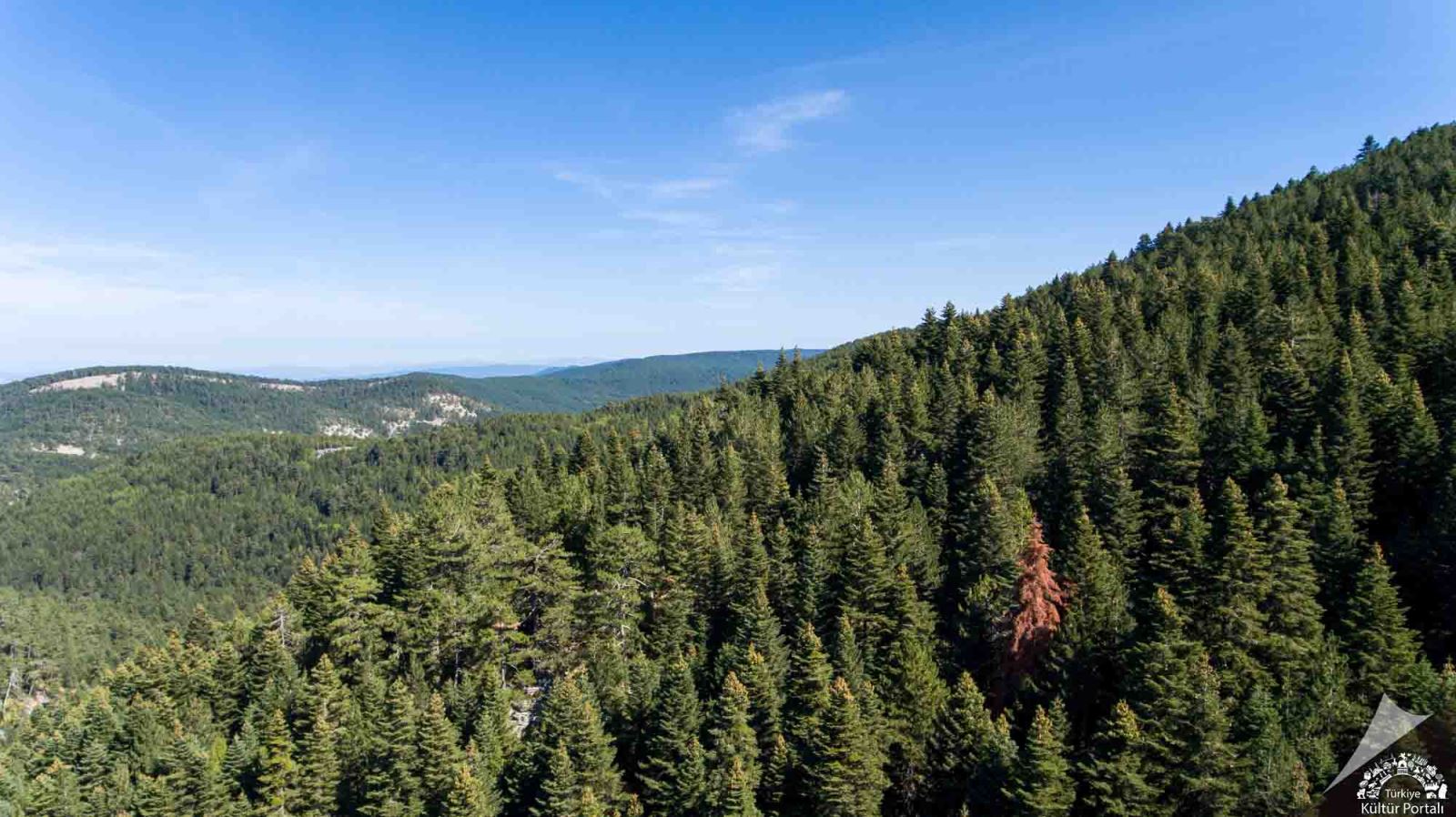 Kazdağları Ayvalık Cunda