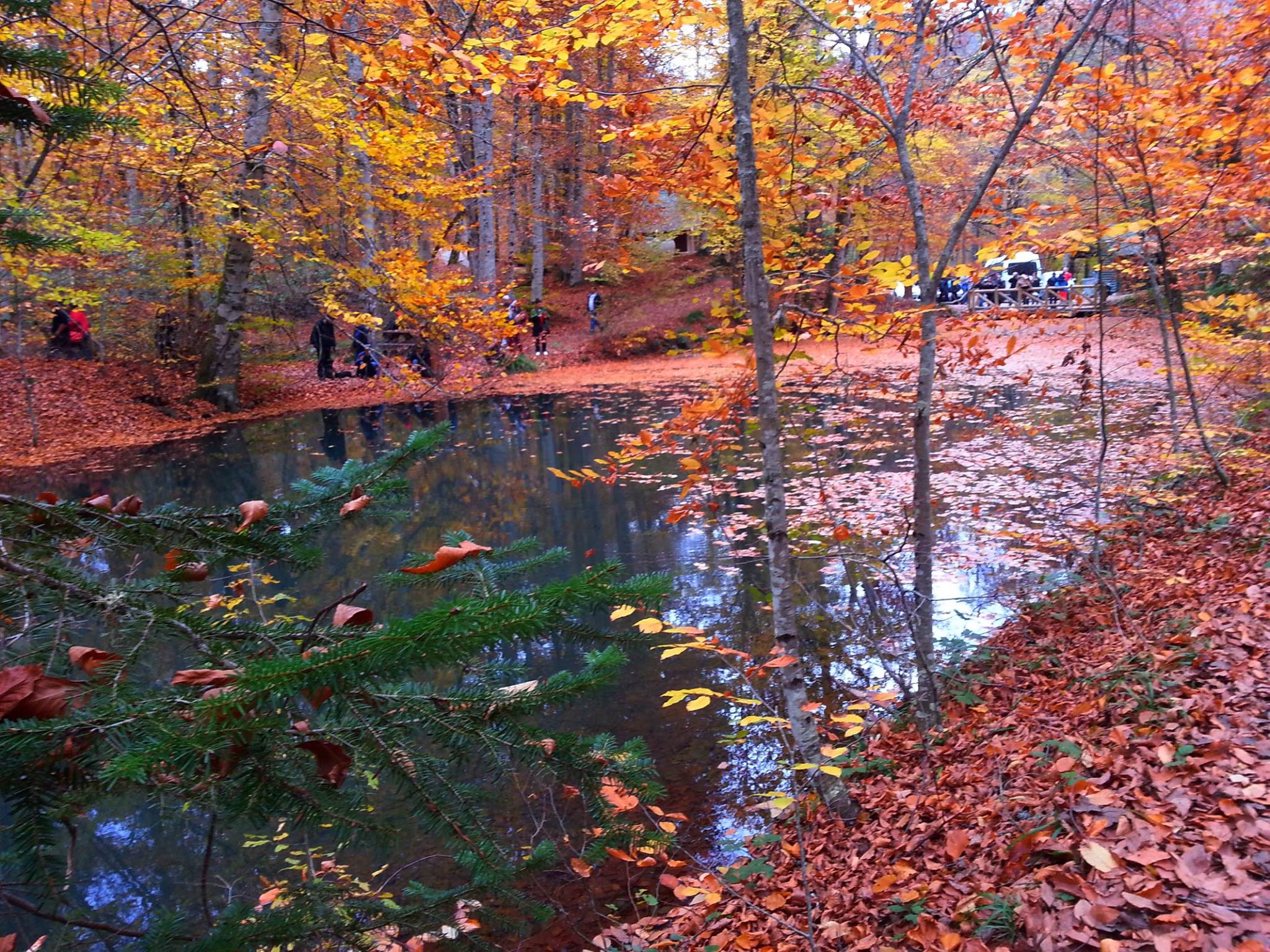 BATI KARADENİZ (1 GECE KONAKLAMALI)