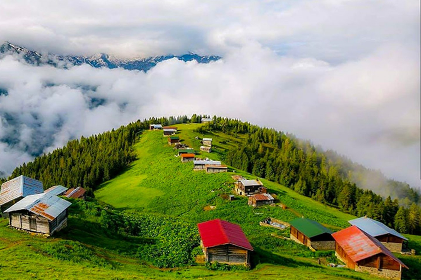 BATUMLU DOĞU KARADENİZ TURU