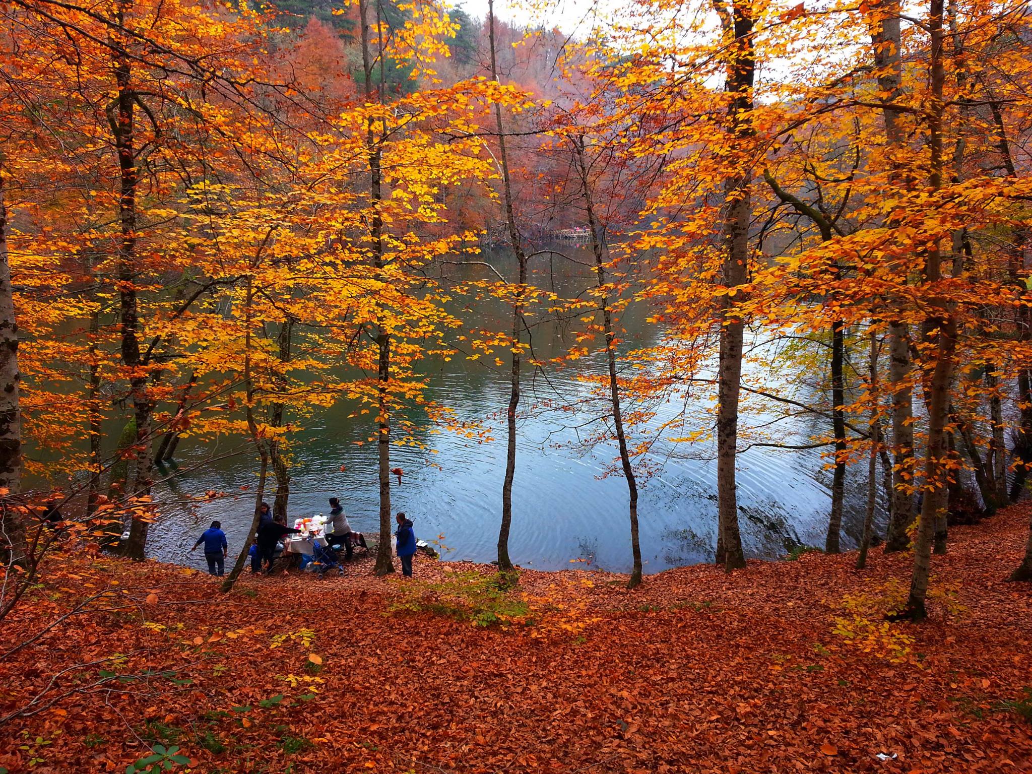 BATI KARADENİZ (1 GECE KONAKLAMALI)
