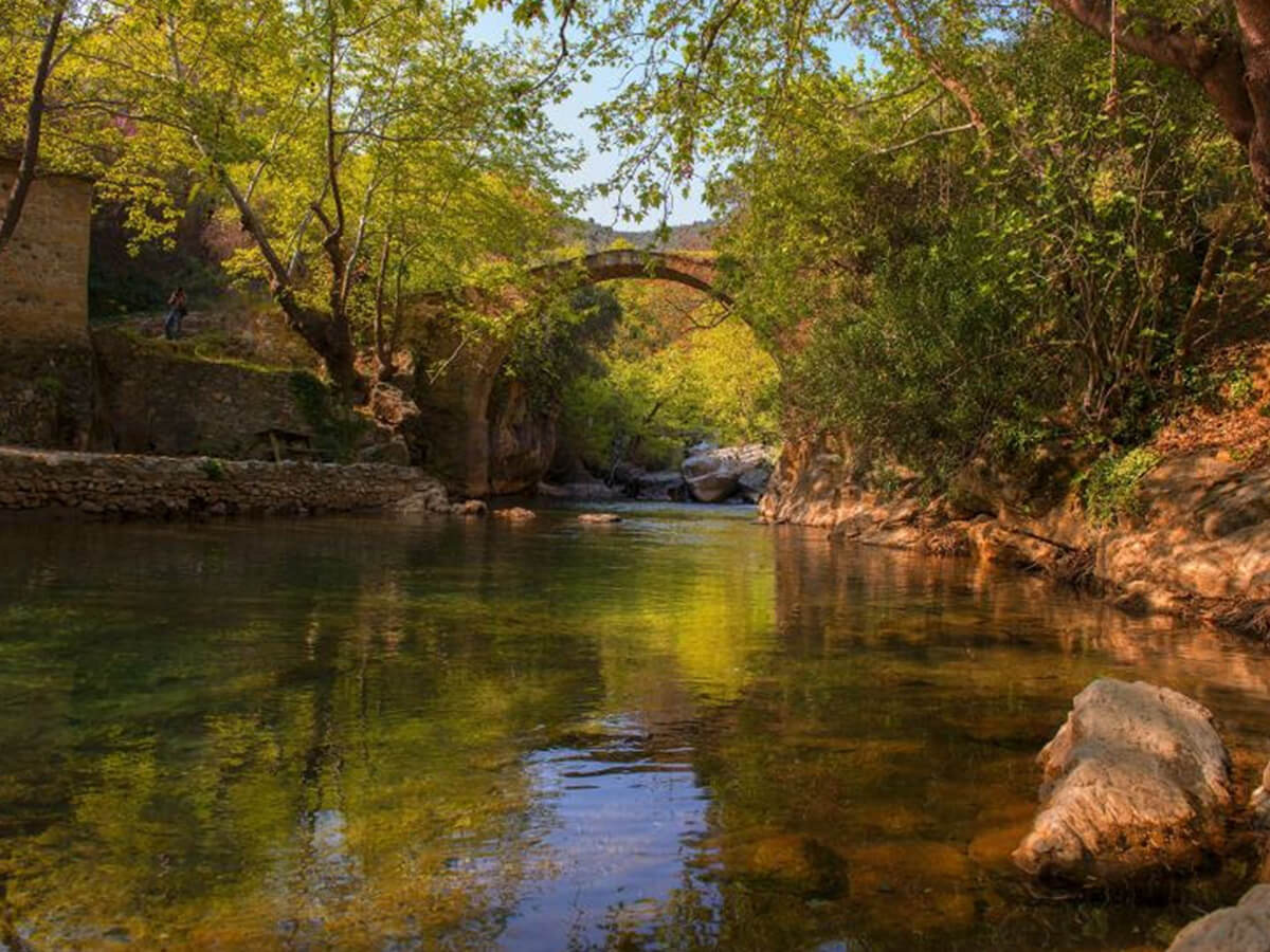 Kazdağları Ayvalık Cunda