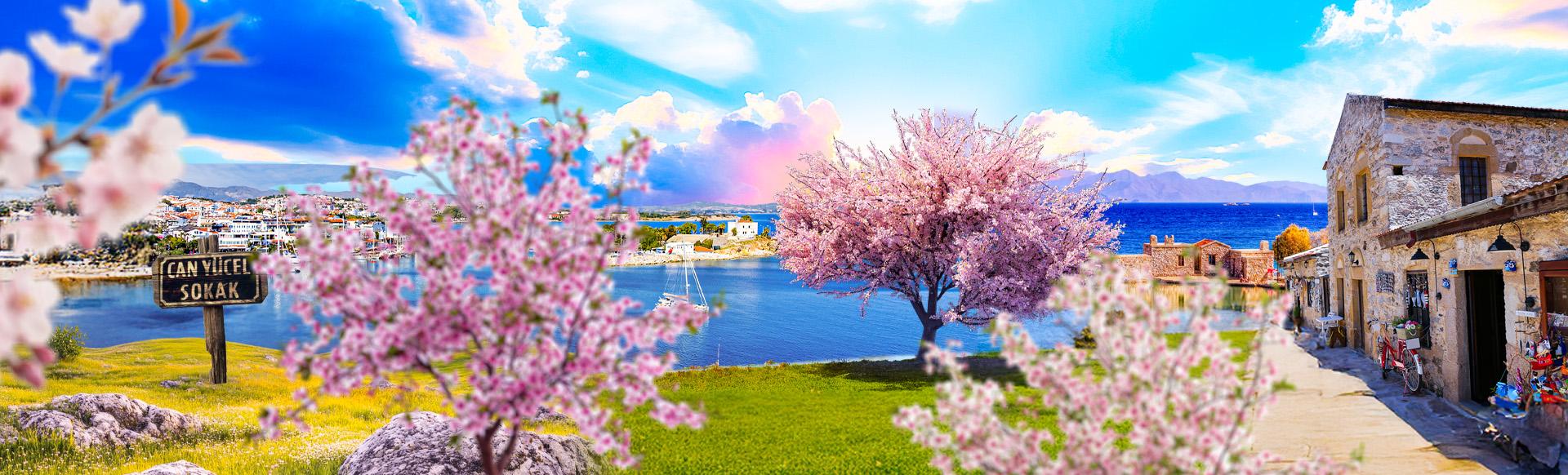 Datça Badem Çiçeği Festivali